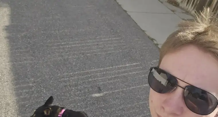 Dog Walking